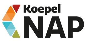 Geregistreerd bij de koepel Nederlandse Associatie voor Psychotherapie